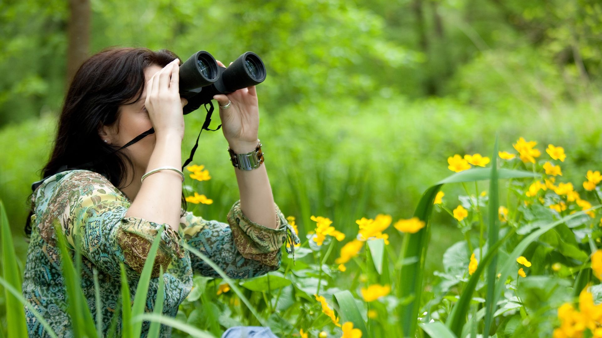 Avian Wonders: Birdwatching Hotspots During Crete's Spring Migration